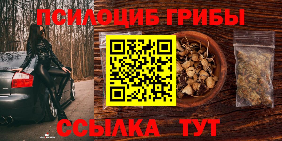 Псилоцибиновые грибы Magic Shrooms Курчатов
